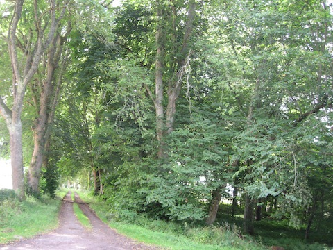 Entranceway Rosehaugh Estate 2009